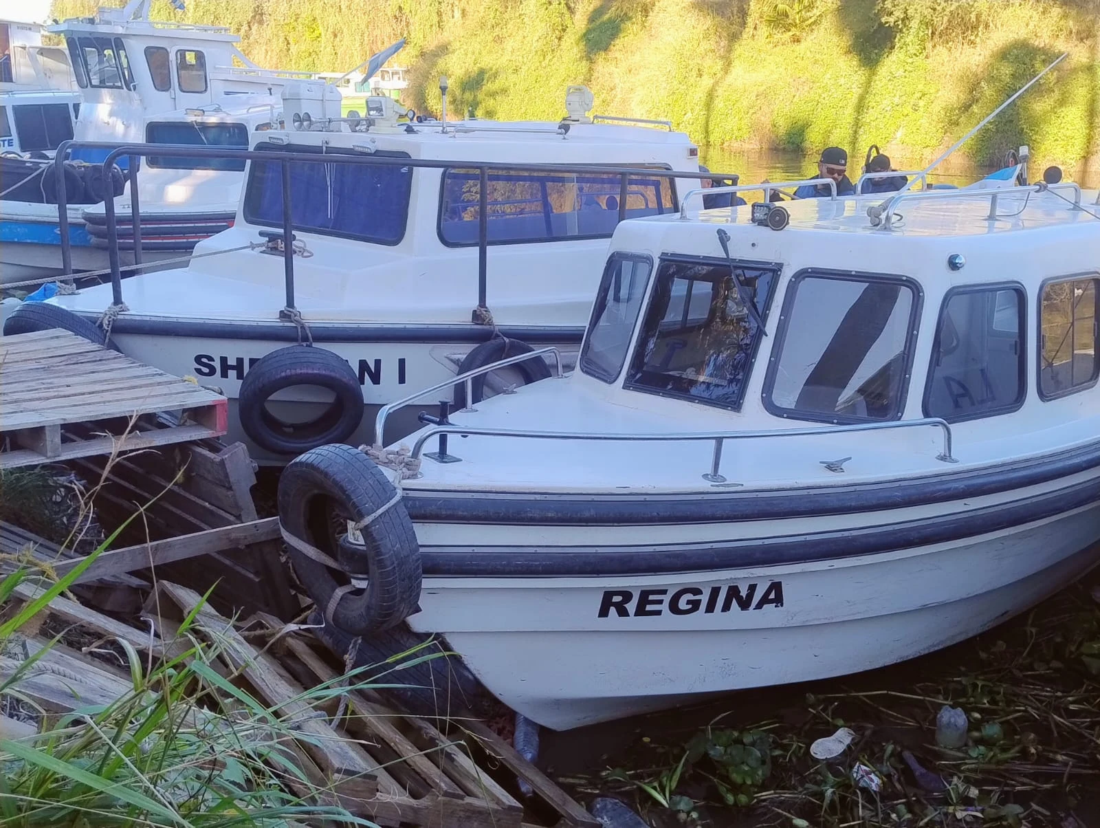 Lancha LM Regina